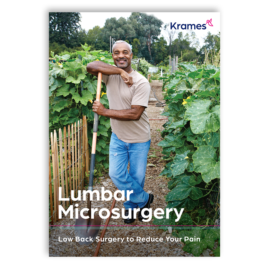 Lumbar Microsurgery